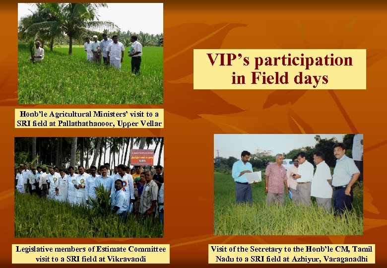 VIP’s participation in Field days Honb’le Agricultural Ministers’ visit to a SRI field at