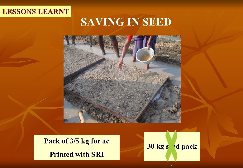 LESSONS LEARNT SAVING IN SEED Pack of 3/5 kg for ac Printed with SRI