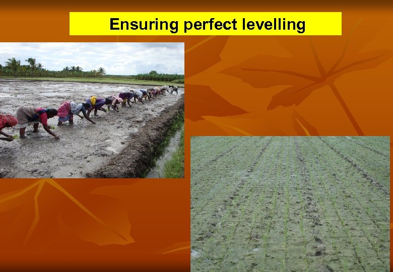 Ensuring perfect levelling 