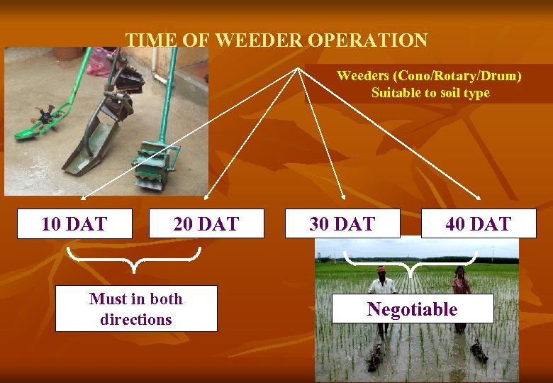 TIME OF WEEDER OPERATION Weeders (Cono/Rotary/Drum) Suitable to soil type 10 DAT 20 DAT