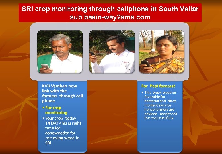 SRI crop monitoring through cellphone in South Vellar sub basin-way 2 sms. com 