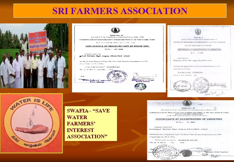 SRI FARMERS ASSOCIATION SWAFIA– “SAVE WATER FARMERS’ INTEREST ASSOCIATION” 