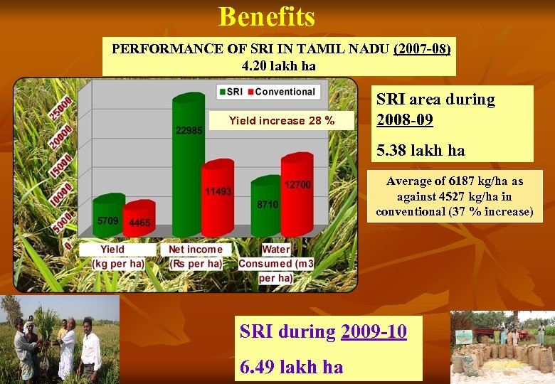 Benefits PERFORMANCE OF SRI IN TAMIL NADU (2007 -08) 4. 20 lakh ha Yield