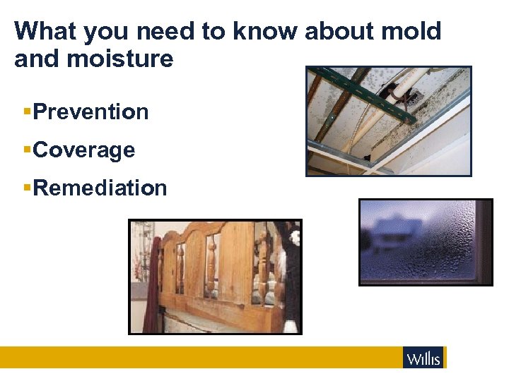 What you need to know about mold and moisture §Prevention §Coverage §Remediation 