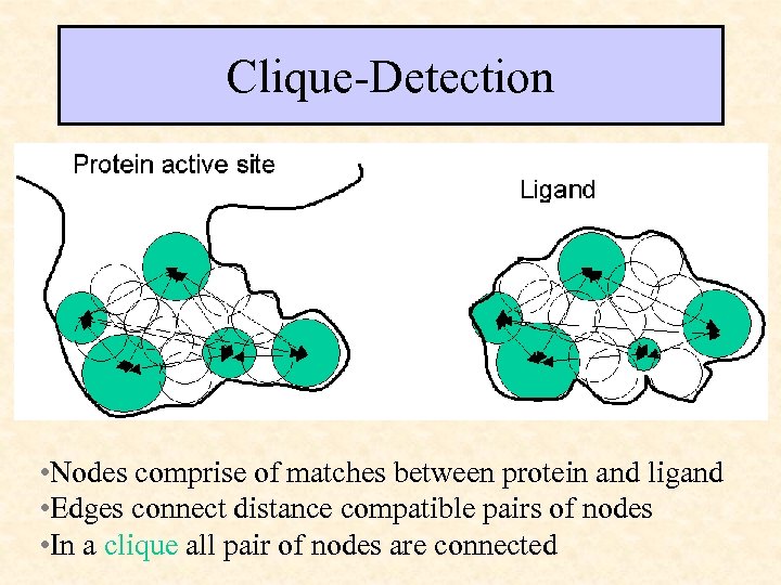 Clique-Detection • • Nodes comprise of matches between protein and ligand • Edges connect