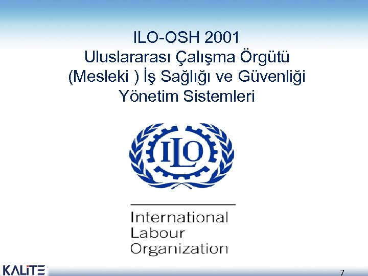 ILO-OSH 2001 Uluslararası Çalışma Örgütü (Mesleki ) İş Sağlığı ve Güvenliği Yönetim Sistemleri 7