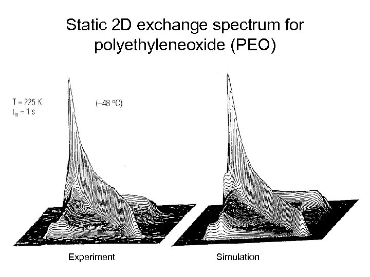 Static 2 D exchange spectrum for polyethyleneoxide (PEO) Experiment Simulation 