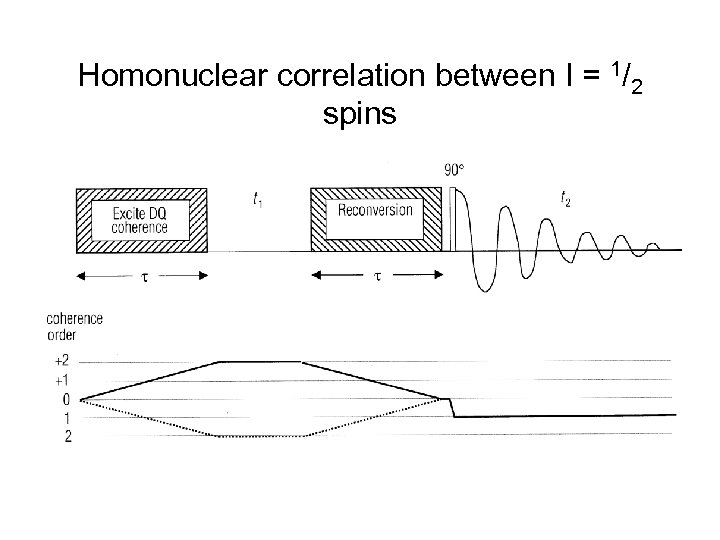 Homonuclear correlation between I = 1/2 spins 