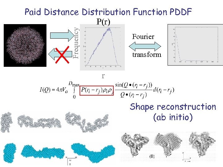 Frequency Paid Distance Distribution Function PDDF P(r) Fourier transform r Shape reconstruction (ab initio)