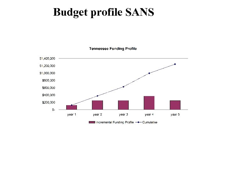Budget profile SANS 