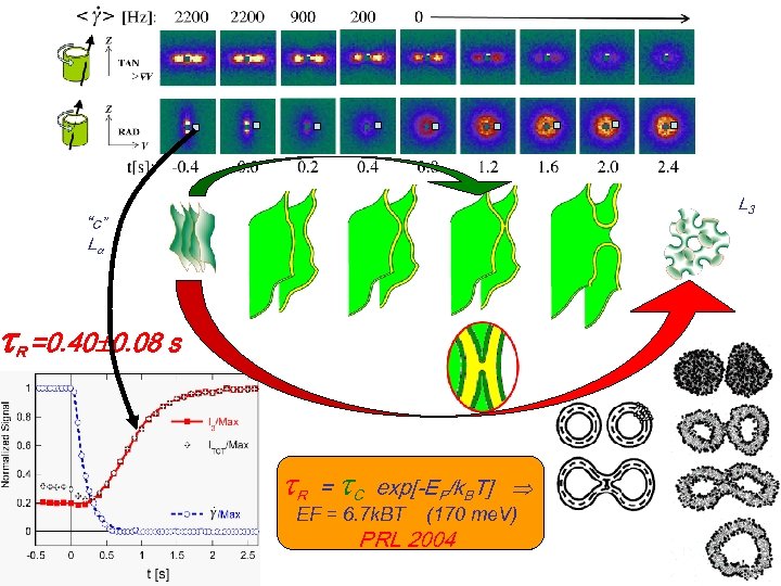  L 3 “c” L R =0. 40 0. 08 s R = C
