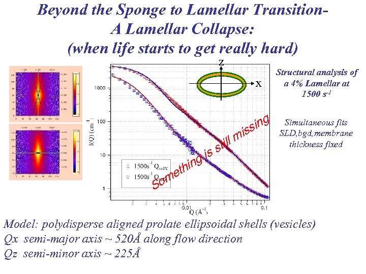 Beyond the Sponge to Lamellar Transition. A Lamellar Collapse: (when life starts to get