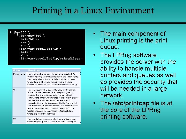 Printing in a Linux Environment • The main component of Linux printing is the