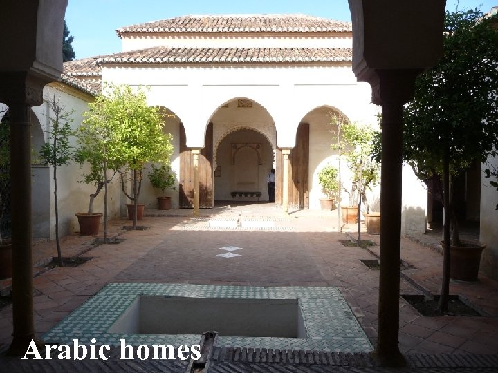 Arabic homes 