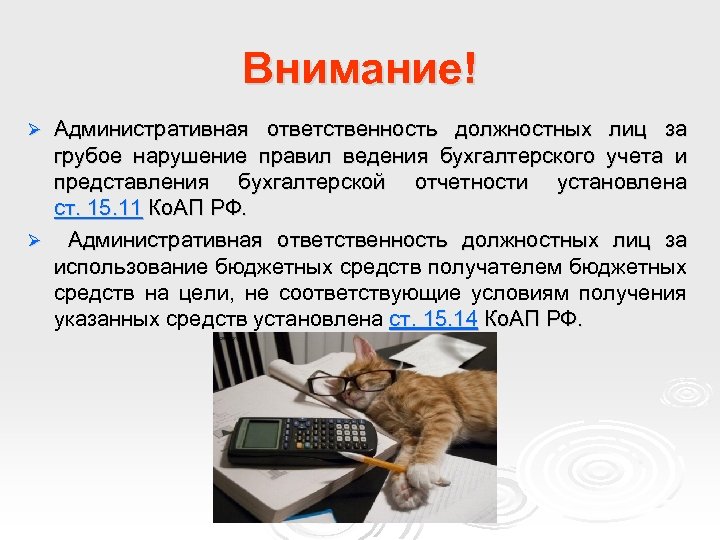 Бухгалтер нарушения. Ответственность за бух нарушения. Ответственность за нарушение правил ведения бухгалтерского учета. КОАП О бухгалтерском учете. Штраф за неправильное ведение бухгалтерского учета.