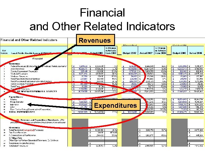 Financial and Other Related Indicators Revenues Expenditures 