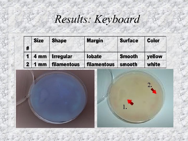 Results: Keyboard 2. 1. 