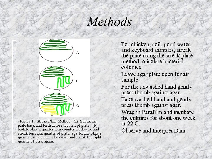 Methods n A. n B. n n C. n n. Figure 1. Streak Plate