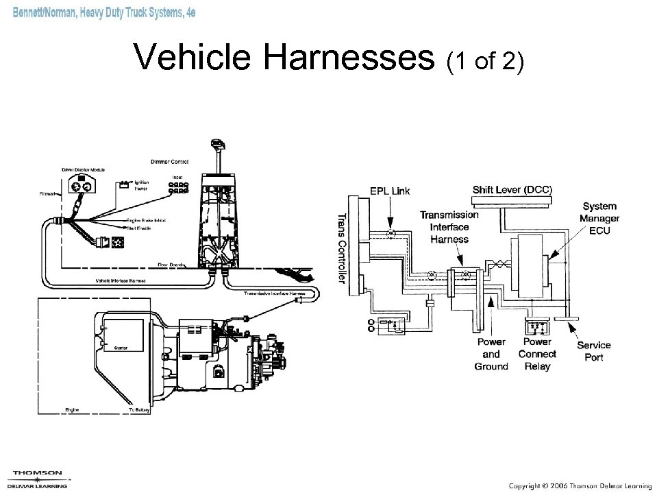 Vehicle Harnesses (1 of 2) 