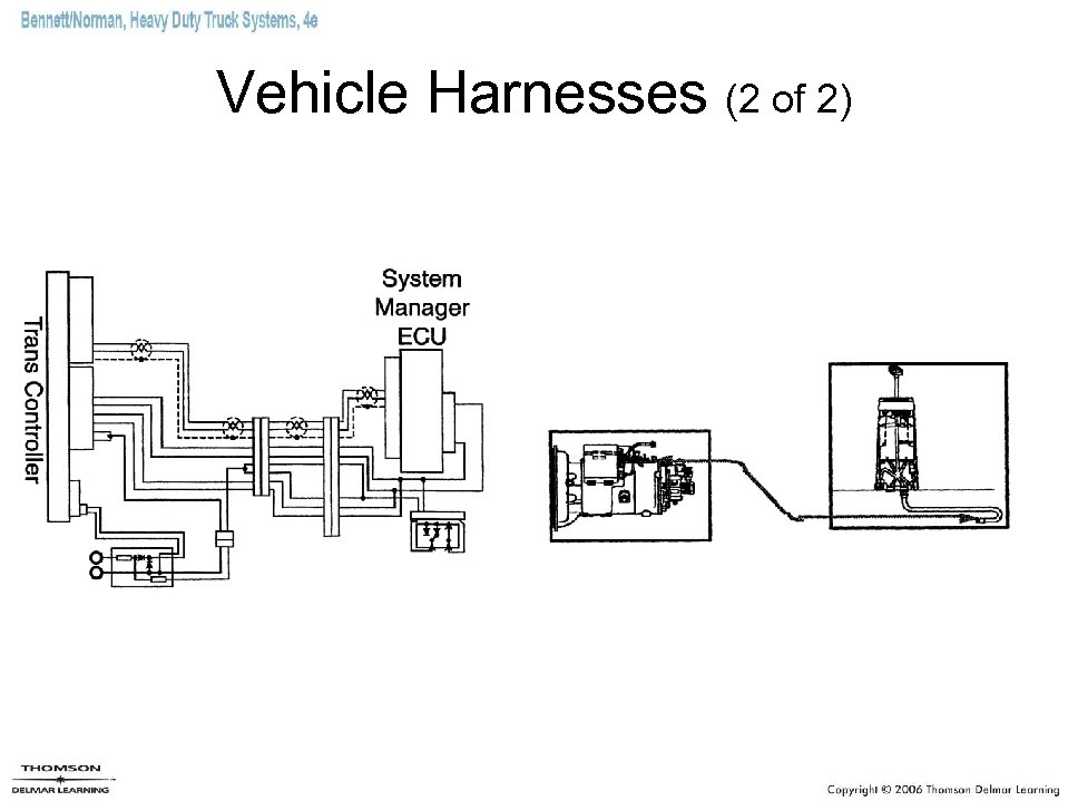 Vehicle Harnesses (2 of 2) 