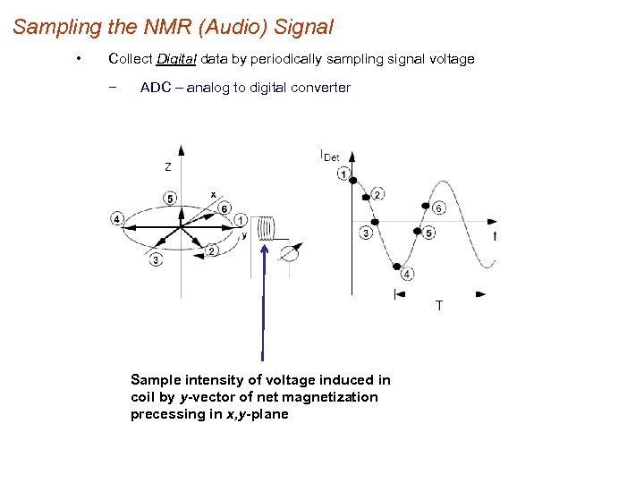 Sampling the NMR (Audio) Signal • Collect Digital data by periodically sampling signal voltage