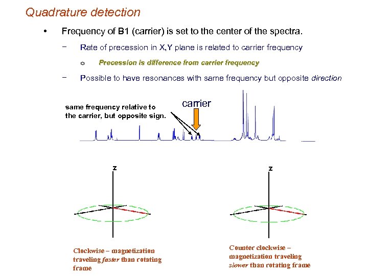 Quadrature detection • Frequency of B 1 (carrier) is set to the center of