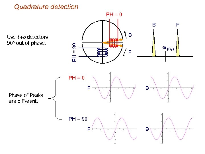 Quadrature detection PH = 0 B B PH = 90 Use two detectors 90