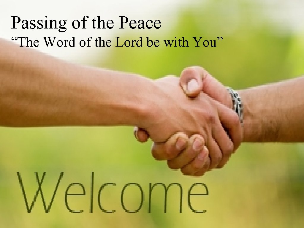 Passing of the Peace “The Word of the Lord be with You” 