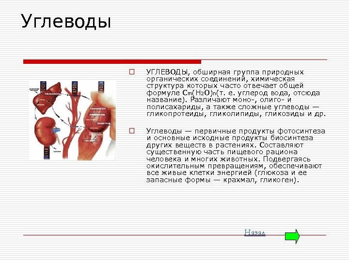 Углеводы o УГЛЕВОДЫ, обширная группа природных органических соединений, химическая структура которых часто отвечает общей