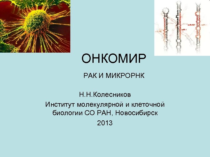  ОНКОМИР РАК И МИКРОРНК Н. Н. Колесников Институт молекулярной и клеточной биологии СО