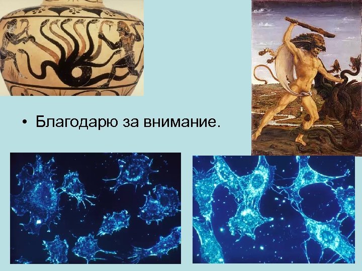  • Благодарю за внимание. 