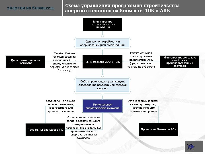 энергия из биомассы: Схема управления программой строительства энергоисточников на биомассе ЛПК и АПК Министерство