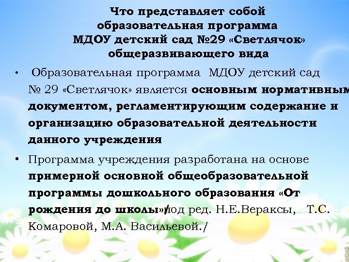 Что представляет собой образовательная программа МДОУ детский сад № 29 «Светлячок» общеразвивающего вида •