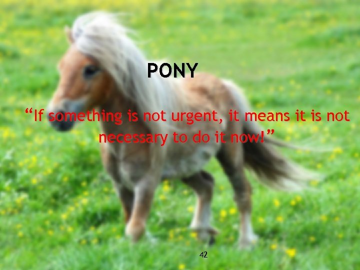 PONY “If something is not urgent, it means it is not necessary to do