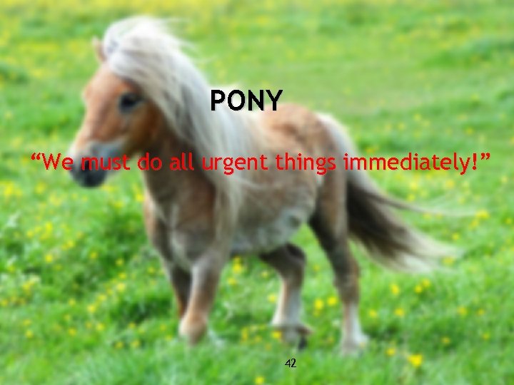 PONY “We must do all urgent things immediately!” 42 