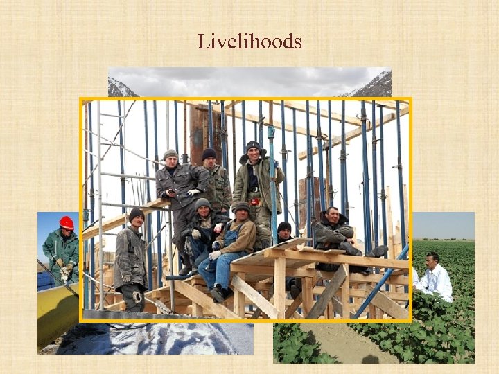 Livelihoods 