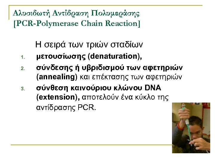 Αλυσιδωτή Αντίδραση Πολυμεράσης [PCR-Polymerase Chain Reaction] Η σειρά των τριών σταδίων 1. 2. 3.