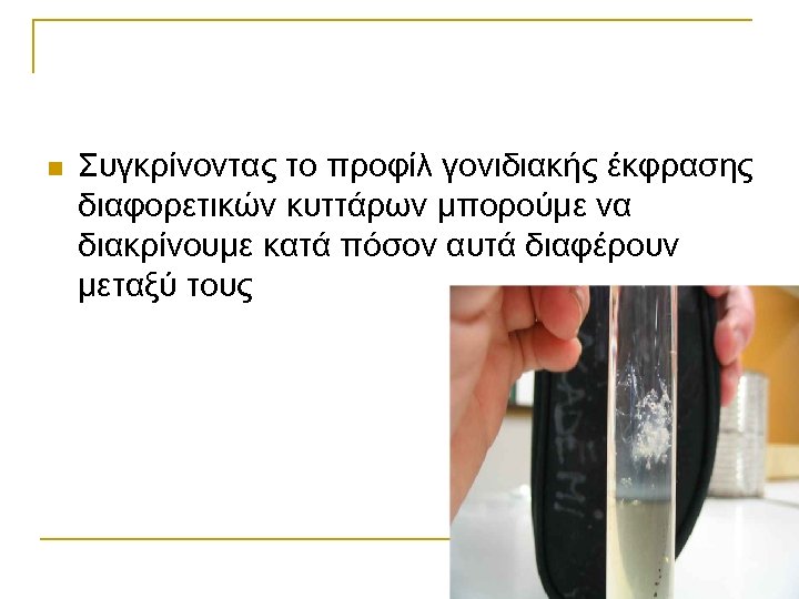 n Συγκρίνοντας το προφίλ γονιδιακής έκφρασης διαφορετικών κυττάρων μπορούμε να διακρίνουμε κατά πόσον αυτά