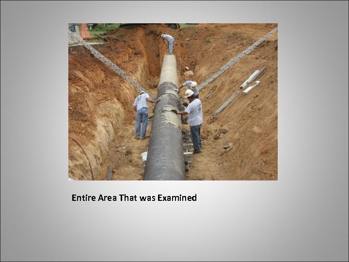 Entire Area That was Examined 