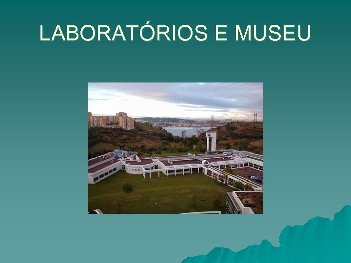LABORATÓRIOS E MUSEU 