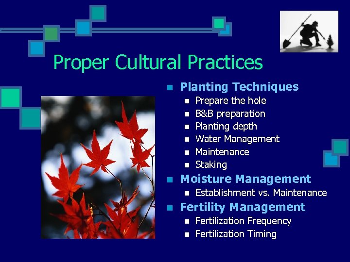 Proper Cultural Practices n Planting Techniques n n n n Moisture Management n n