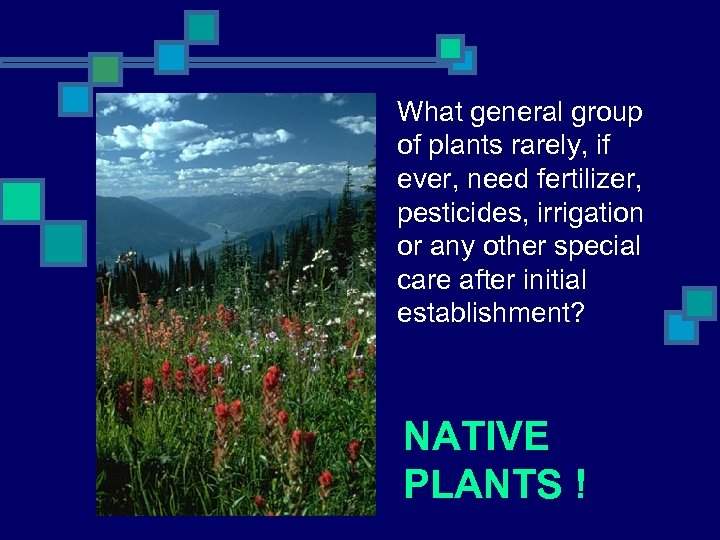 What general group of plants rarely, if ever, need fertilizer, pesticides, irrigation or any