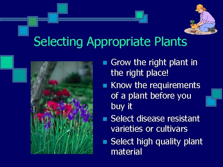 Selecting Appropriate Plants n n Grow the right plant in the right place! Know