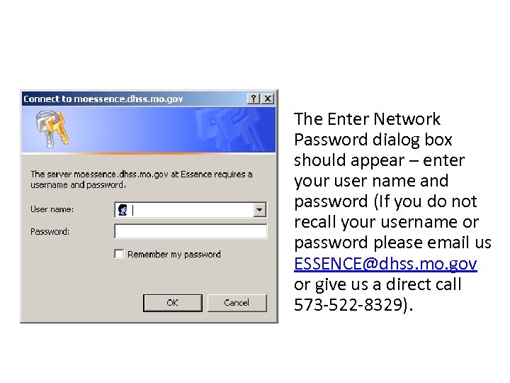 The Enter Network Password dialog box should appear – enter your user name and