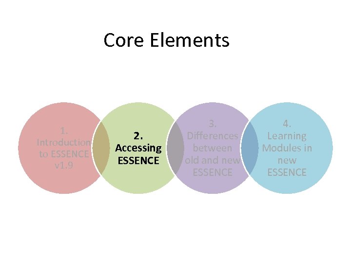 Core Elements 1. Introduction to ESSENCE v 1. 9 2. Accessing ESSENCE 3. Differences