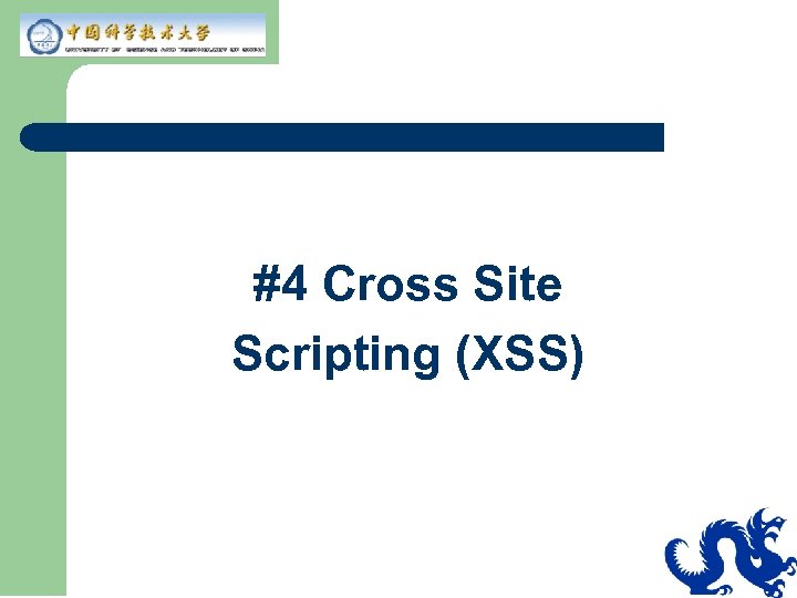 #4 Cross Site Scripting (XSS) 