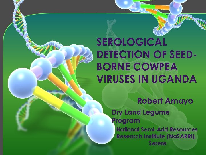 SEROLOGICAL DETECTION OF SEEDBORNE COWPEA VIRUSES IN UGANDA Robert Amayo Dry Land Legume Program