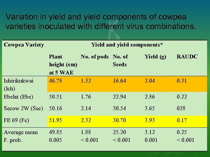 Variation in yield and yield components of cowpea varieties inoculated with different virus combinations.