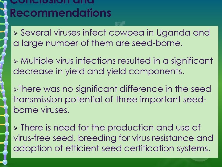 Conclusion and Recommendations Several viruses infect cowpea in Uganda and a large number of