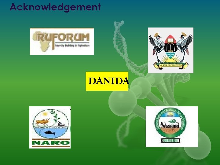 Acknowledgement DANIDA 